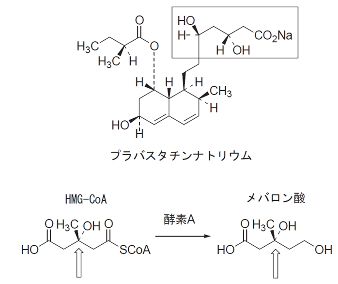 プラバスタチン,HMG-CoA,メバロン酸の化学 97回薬剤師国家試験問209